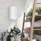PRE-VENTA: Termo Eléctrico 100 Litros Haier - 1.500W